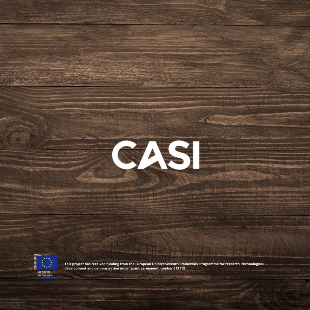 CASI - Anysolution